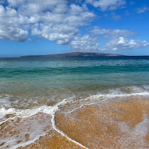 Meet your Posher, Nancey